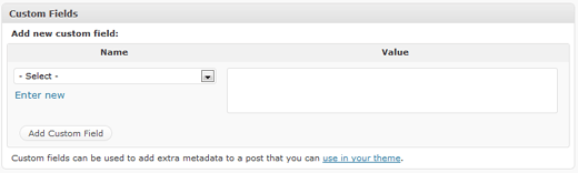 Custom Fields in WordPress