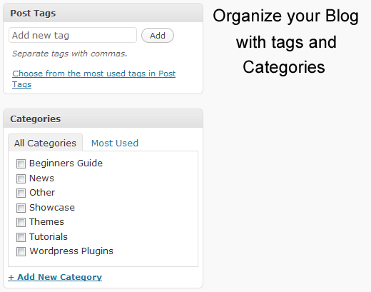 Tags and Categories in WordPress
