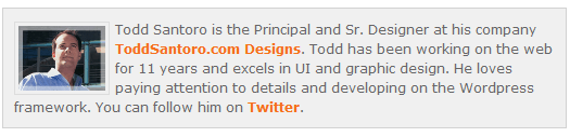 Author Info Box in WordPress Posts