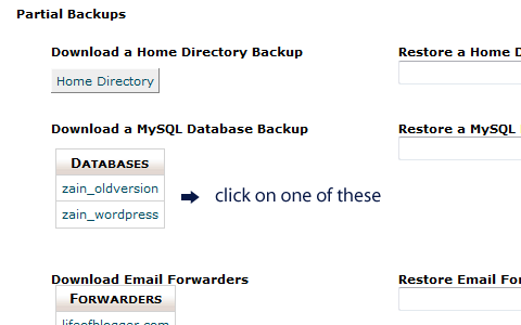 cPanel Backup