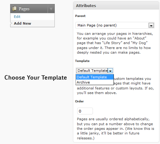 Custom Page Template