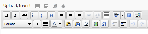 Visual Editor in WordPress