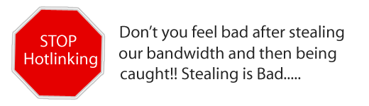 Stealing is Bad