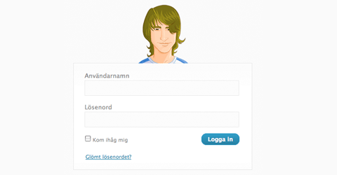 Custom WordPress Login Page