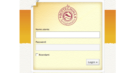 Custom WordPress Login Page