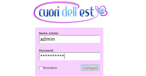 Custom WordPress Login Page