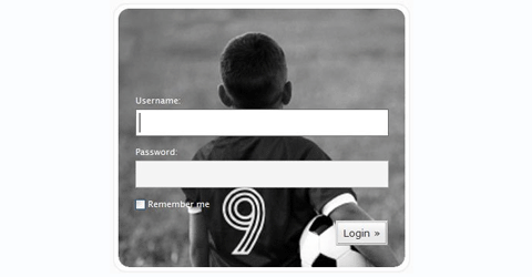 Custom WordPress Login Page
