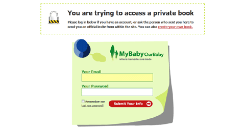 Custom WordPress Login Page