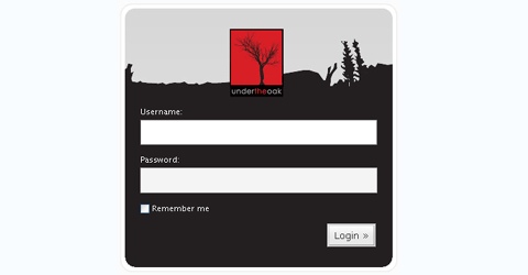 Custom WordPress Login Page