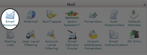 Setting up a Professional Email in Cpanel