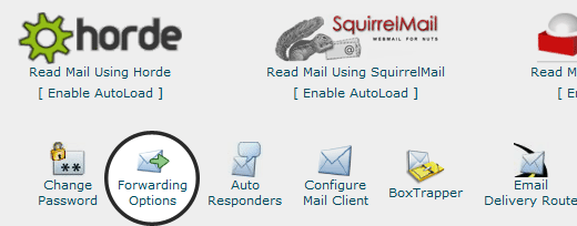 Setting up a Professional Email in Cpanel