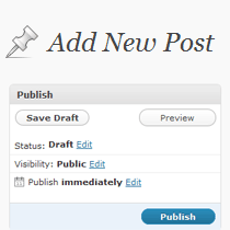 How to Add a New Post in WordPress and Utilize all the Features