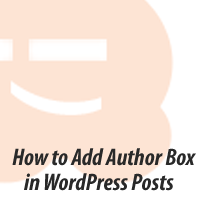 How to Add an Author Info Box in WordPress Posts