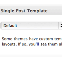 Create Custom Single Post Templates for Specific Posts or Sections in WordPress