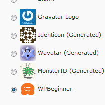 How to Display Author’s Gravatar on their Individual Posts in WordPress