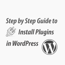 Step by Step Guide to Install a WordPress Plugin for Beginners