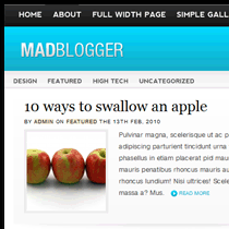 MadBlogger Free WordPress Theme by WordPress Madness