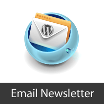 Create a Free Email Newsletter Service using WordPress
