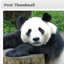 How to Add Post Thumbnails in WordPress