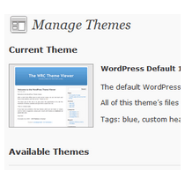 Selecting the Perfect Theme for WordPress