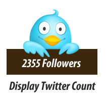 Displaying the Total Number of Twitter Followers as Text on WordPress