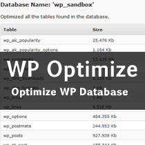 Optimize Your WordPress Database with One Click
