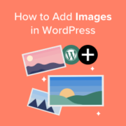 How to properly add images in WordPress