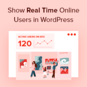 How to Show real time online users in WordPress