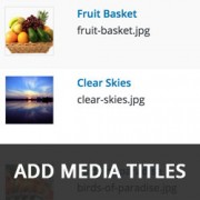 How to Automatically Add Media Titles in WordPress