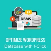 Optimize WordPress Database with One-Click