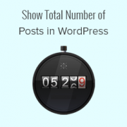 How to Show Total Number of Posts in WordPress