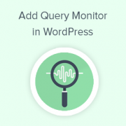 How to Add a WordPress Query Monitor On Your Site