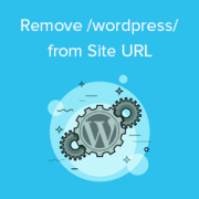 How to Get Rid of /wordpress/ From your WordPress Site URL