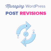 Complete Guide to WordPress Post Revisions (2019)