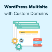 How to Create a WordPress Multisite with Different Domains