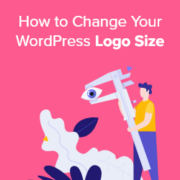 How to Change Your WordPress Logo Size (Works with Any Theme)