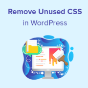 How to Remove Unused CSS in WordPress