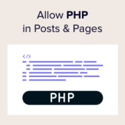 How to allow PHP in WordPress posts and pages