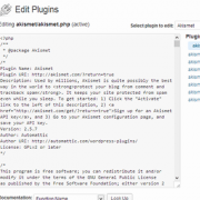 Plugin editor in WordPress