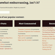 A modified 404 page in WordPress showing popular posts