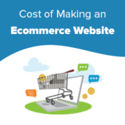 How Much Does an Ecommerce Website Cost in 2019? (Real Numbers)
