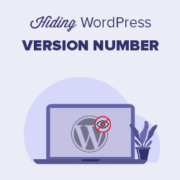 The Right Way to Remove WordPress Version Number