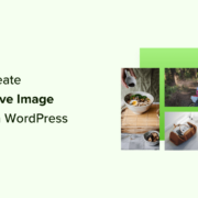 How to easily create responsive WordPress image galleries with Envira
