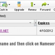 Editing nameservers for a domain on GoDaddy