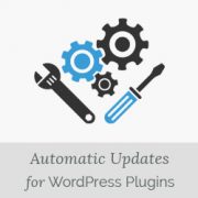 How to Enable Automatic Updates for WordPress Plugins