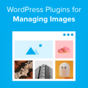 Great WordPress Plugins for Managing Images