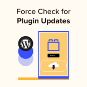How to force WordPress to check for plugin updates
