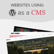 WordPress as a CMS: 25 Examples Using WordPress as CMS
