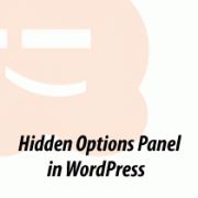 All Options in WordPress