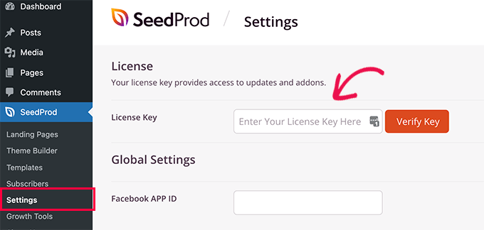Adding a SeedProd license key to WordPress